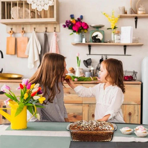 Loaf Pan Container  (Set of 1)